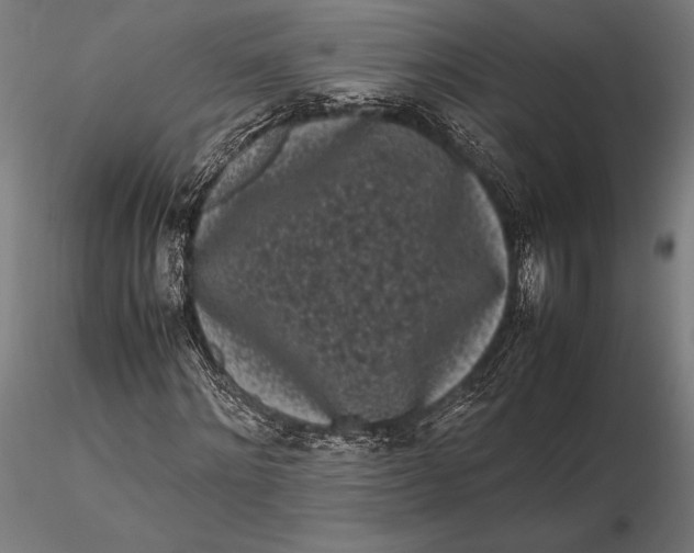 X0000115720868200912031548