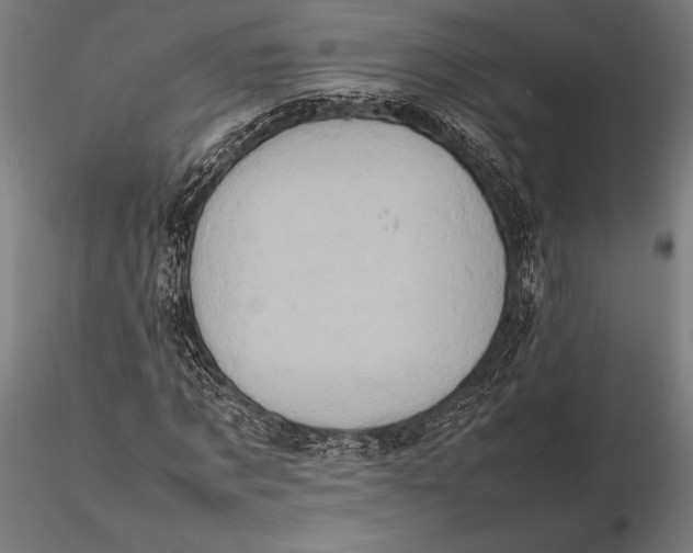 X0000115720869200912031548