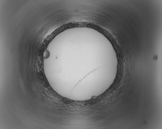 X0000115720871200912031548
