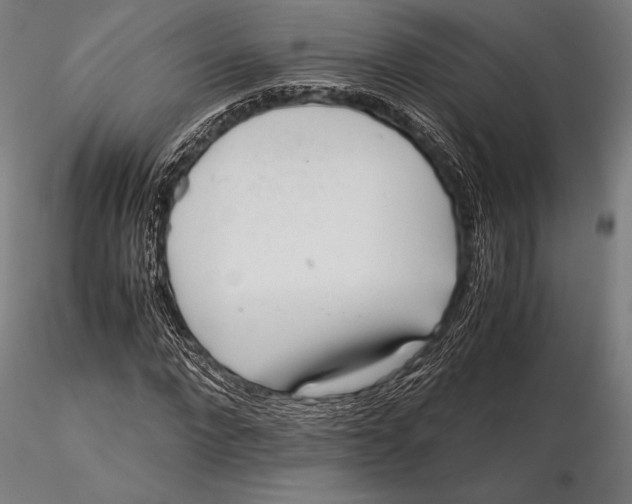 X0000115720872200912031548