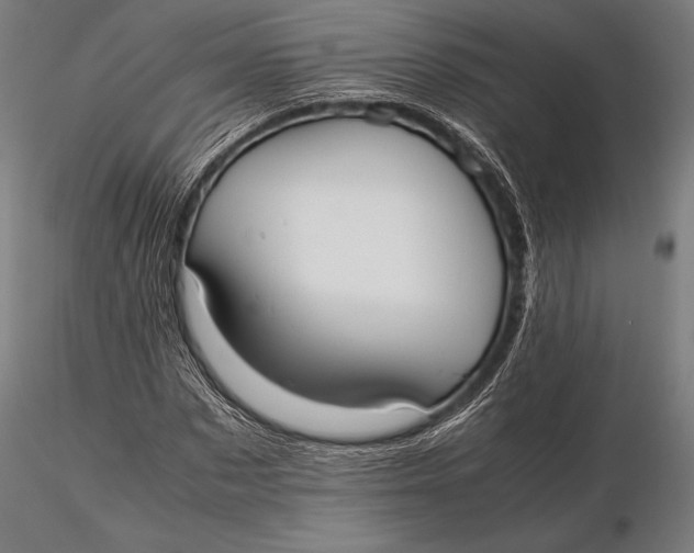 X0000115720873200912031548