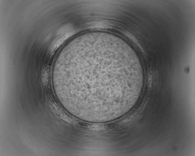 X0000115720874200912031548