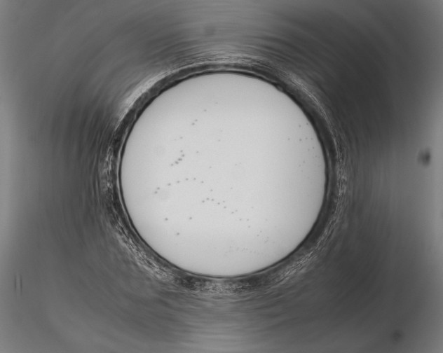 X0000115720875200912031548