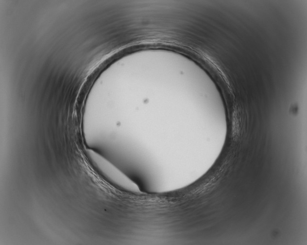 X0000115720876200912031548