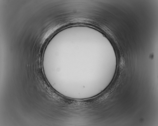 X0000115720877200912031548
