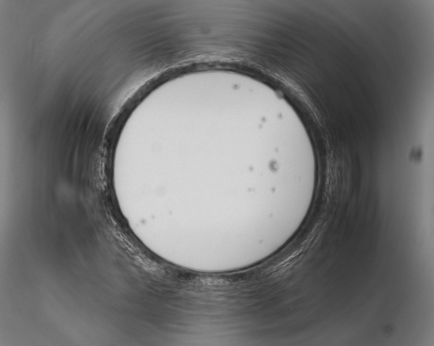 X0000115720878200912031548