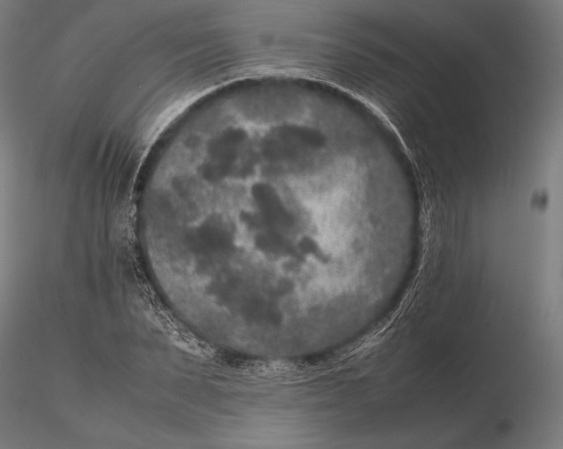 X0000115720879200912031548