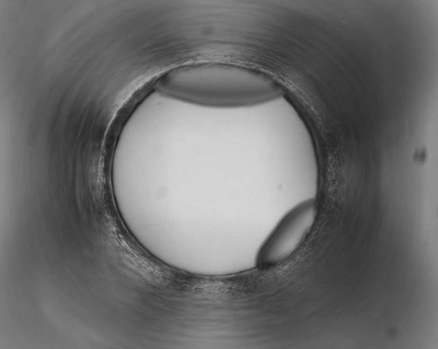 X0000115720880200912031548