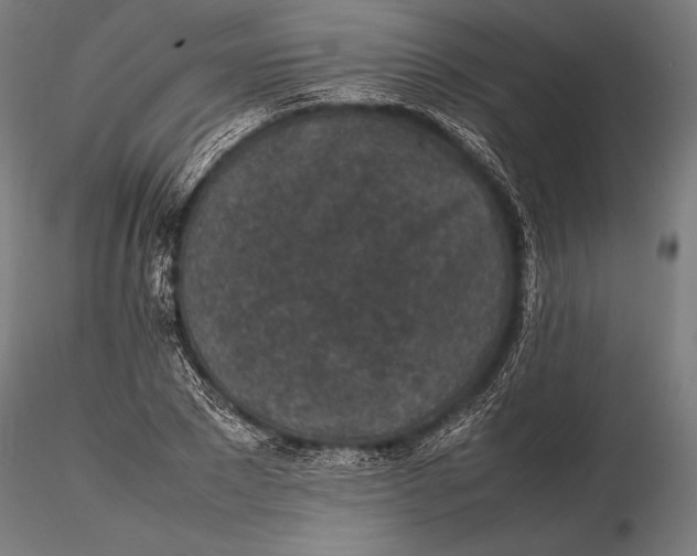 X0000115720881200912031548