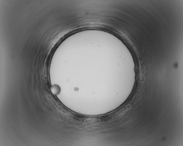 X0000115720883200912031548