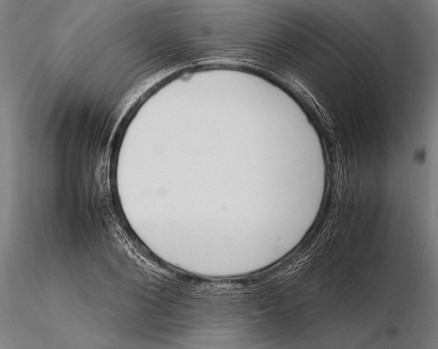 X0000115720884200912031548