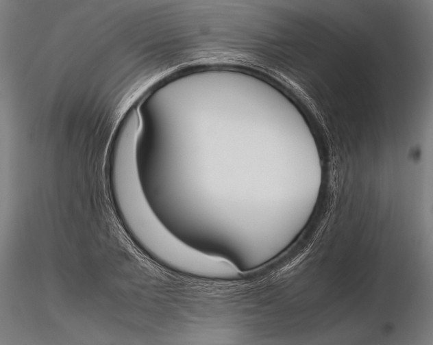 X0000115720885200912031548