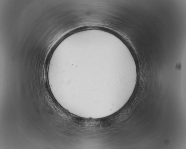 X0000115720887200912031548