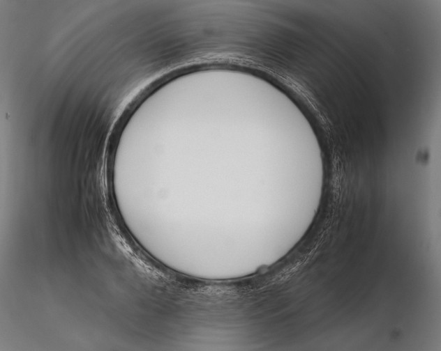 X0000115720888200912031548