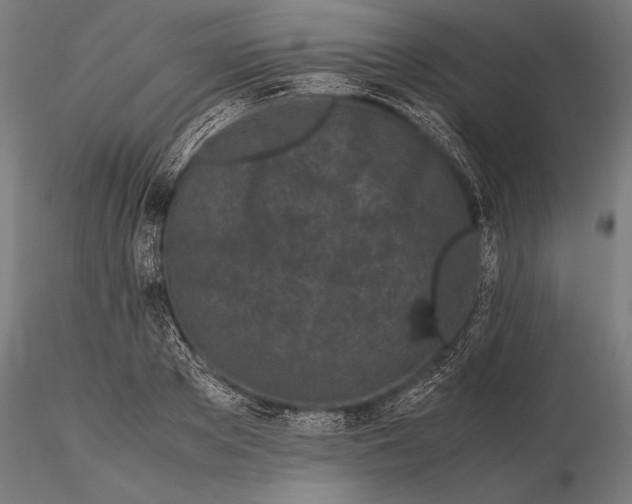 X0000115720889200912031548