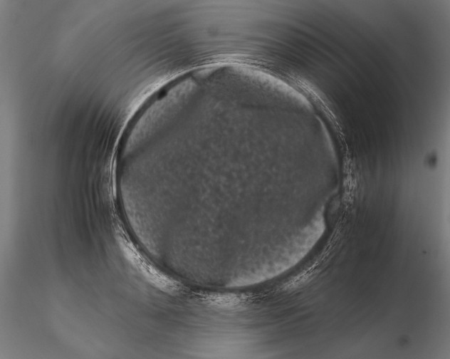 X0000115720892200912031548