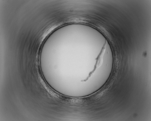 X0000115720893200912031548