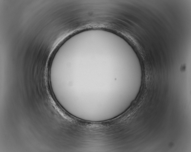 X0000115720894200912031548