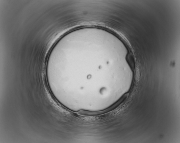 X0000115720895200912031548