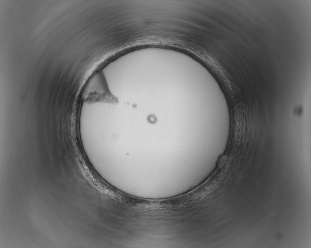 X0000115720896200912031548