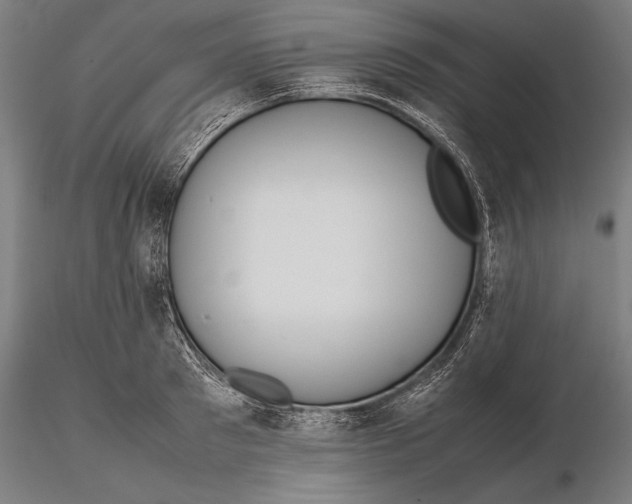 X0000115720897200912031548