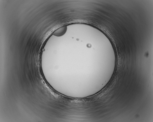 X0000115720898200912031548