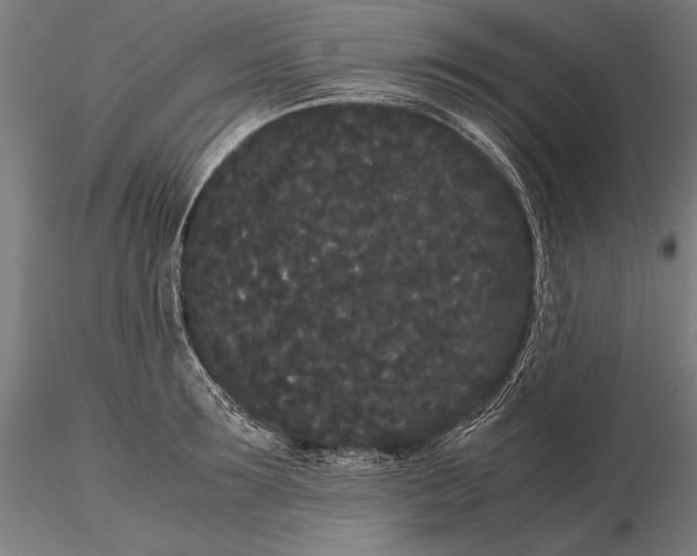 X0000115720899200912031548