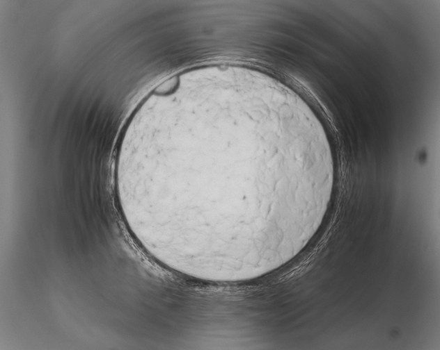 X0000115720900200912031548