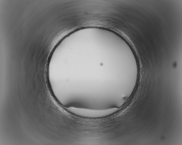 X0000115720901200912031548