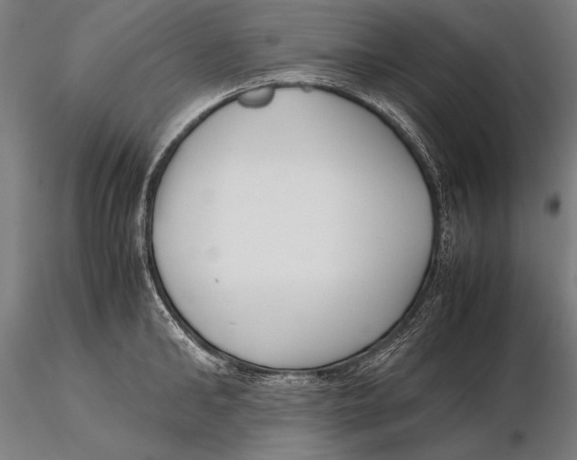 X0000115720902200912031548
