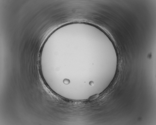 X0000115720903200912031548