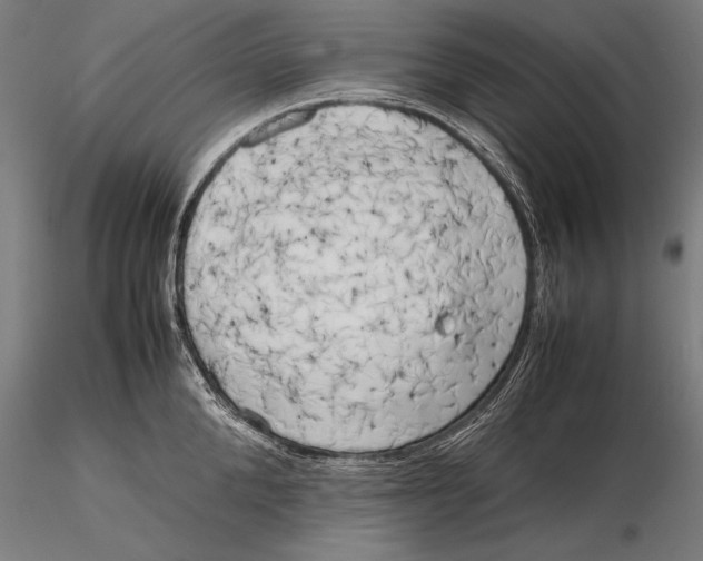X0000115720904200912031548