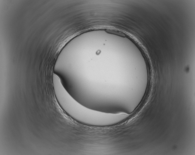X0000115720905200912031548