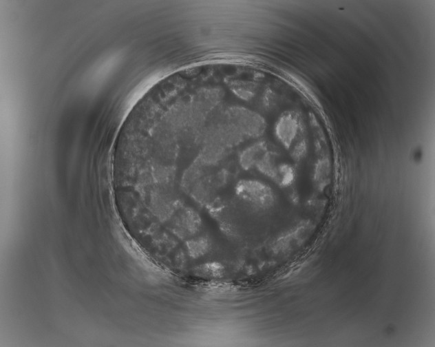 X0000115720907200912031548