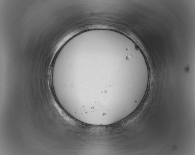 X0000115720909200912031548