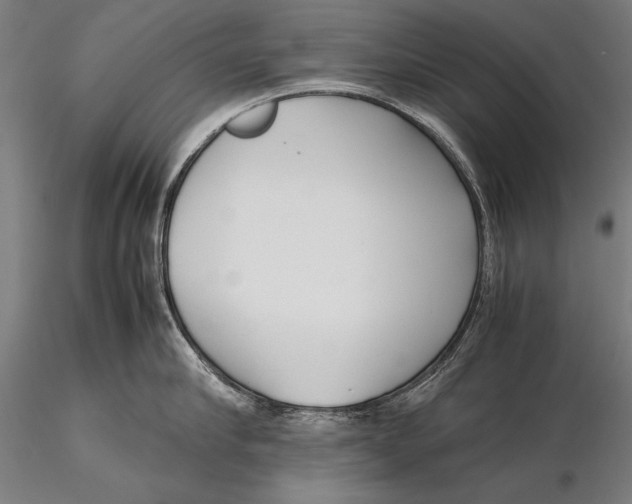 X0000115720910200912031548