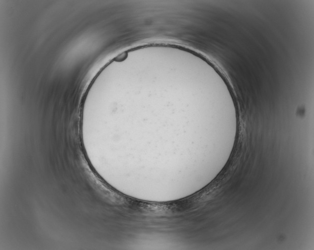 X0000115720911200912031548