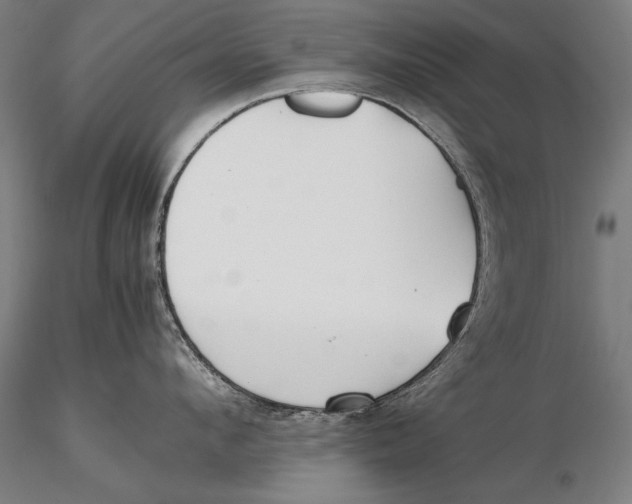 X0000115720912200912031548