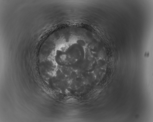X0000115720913200912031547