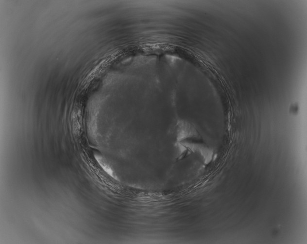 X0000115720915200912031547