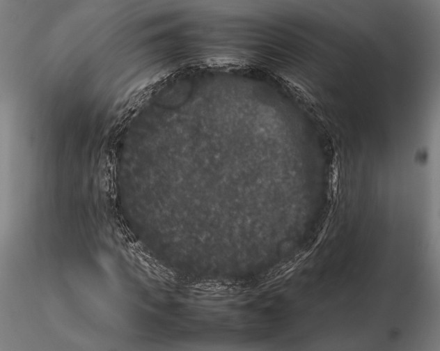 X0000115720917200912031547