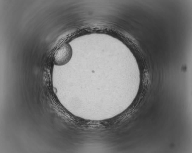 X0000115720918200912031547