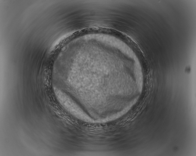 X0000115720919200912031547
