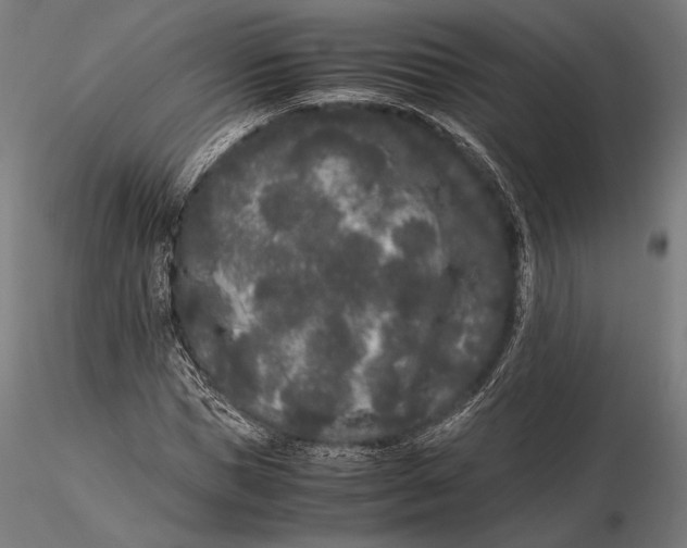 X0000115720921200912031547