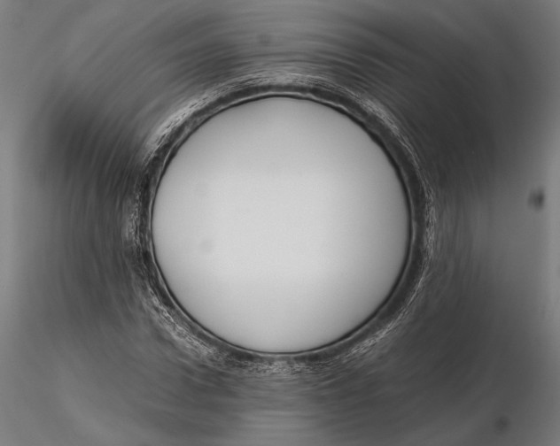 X0000115720922200912031547