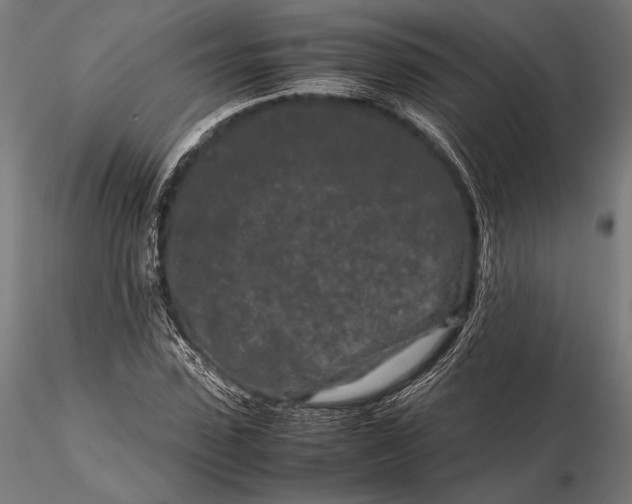 X0000115720923200912031547