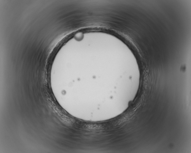 X0000115720927200912031547