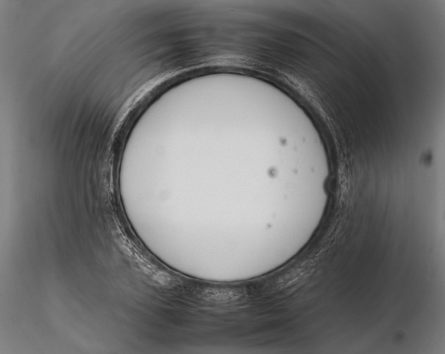 X0000115720931200912031547