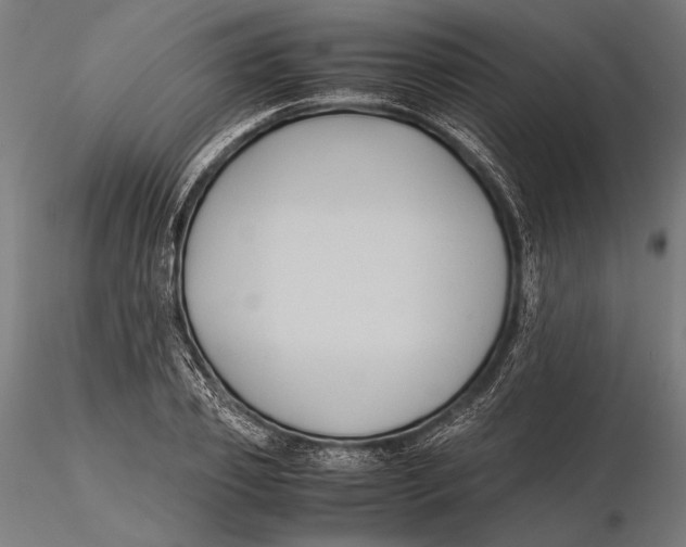 X0000115720933200912031547