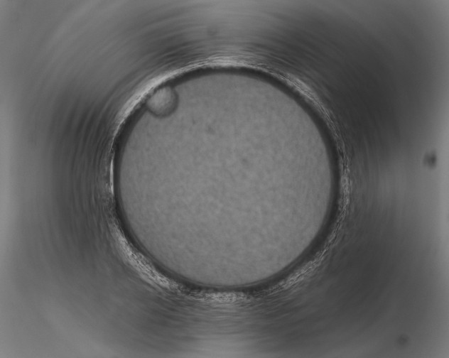 X0000115720934200912031547
